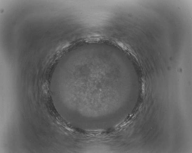 X0000080711445200612221131