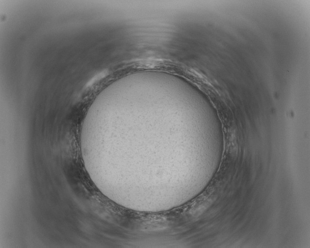 X0000080711446200612221131