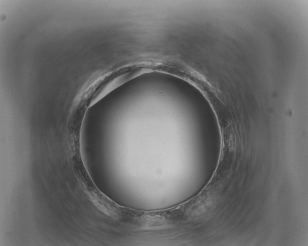 X0000080711448200612221131