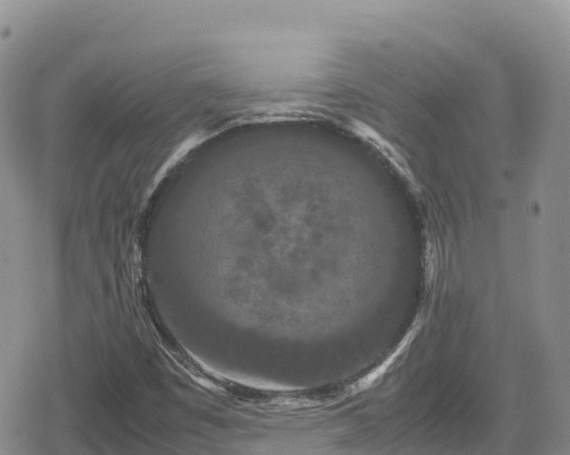 X0000080711449200612221131