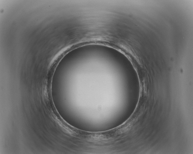 X0000080711452200612221131