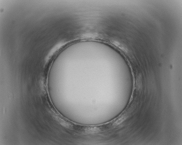 X0000080711454200612221131