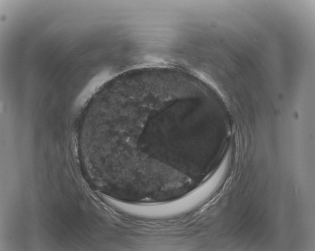 X0000080711455200612221131