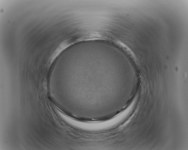 X0000080711457200612221131