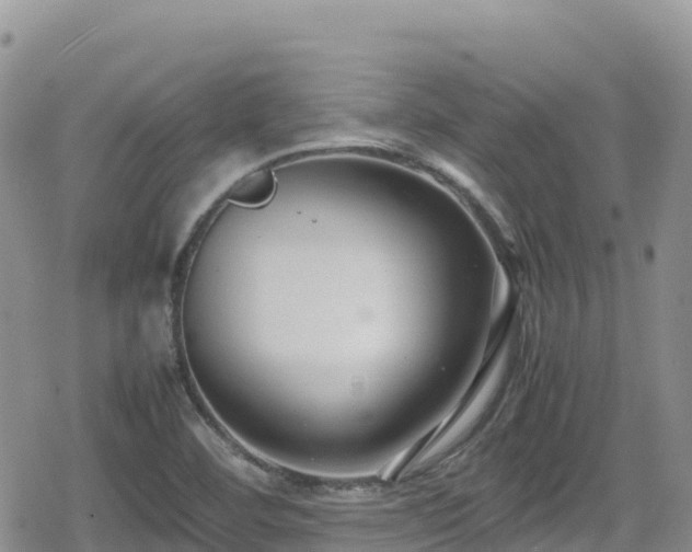 X0000080711460200612221131