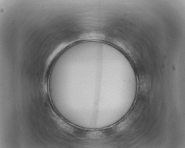 X0000080711462200612221131