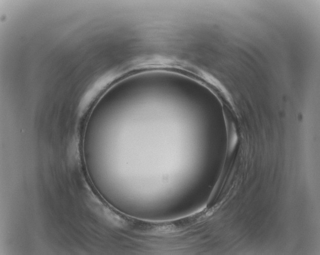 X0000080711464200612221130