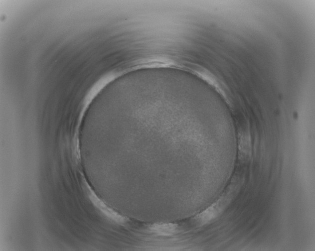 X0000080711466200612221130