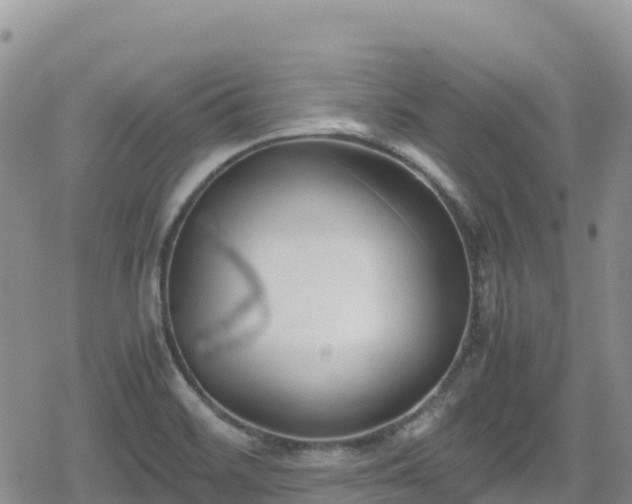 X0000080711468200612221130