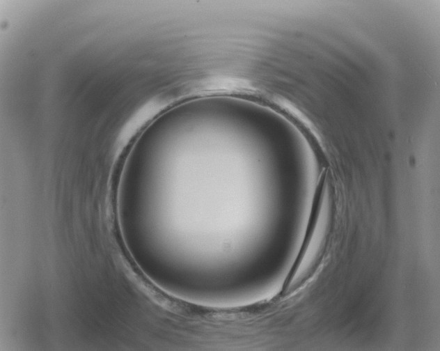 X0000080711469200612221130