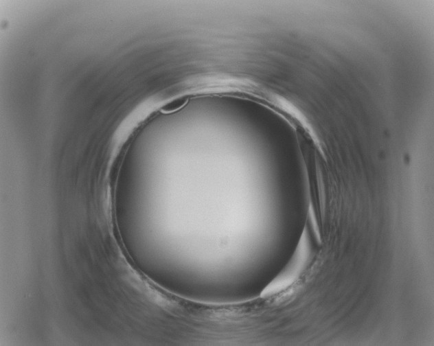 X0000080711472200612221130