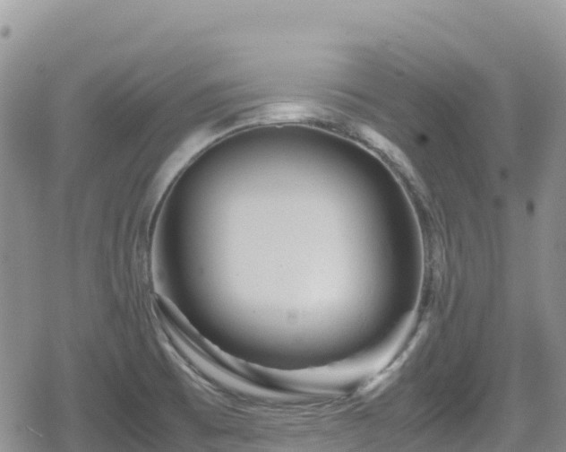 X0000080711473200612221130