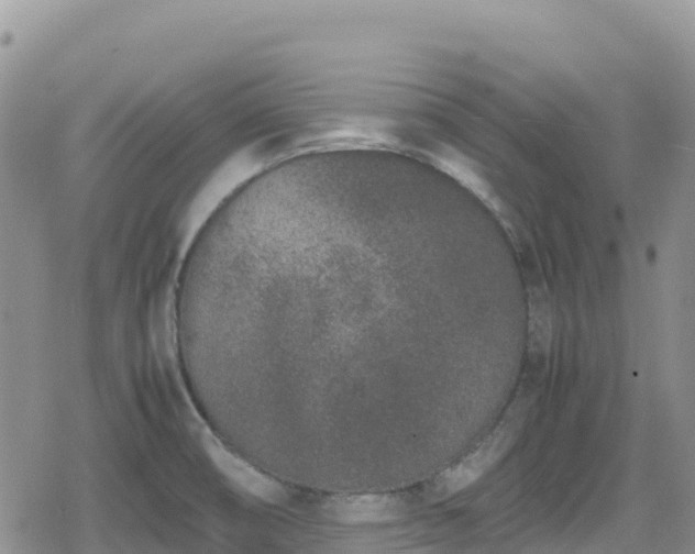 X0000080711474200612221130