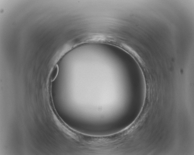 X0000080711475200612221130