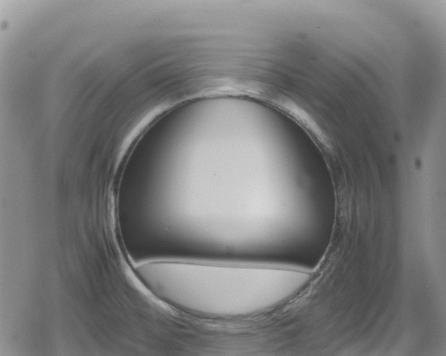 X0000080711476200612221130