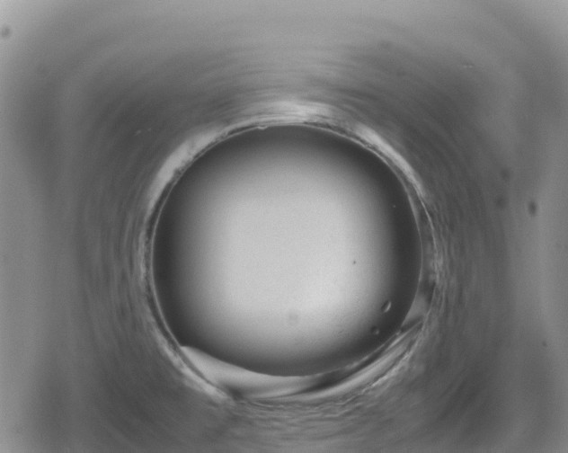 X0000080711477200612221130