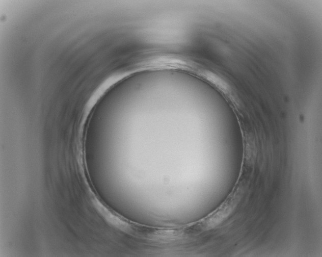 X0000080711478200612221130