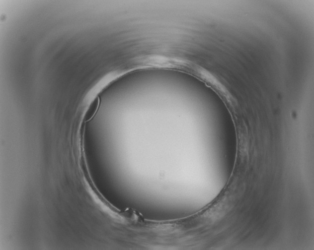 X0000080711479200612221130