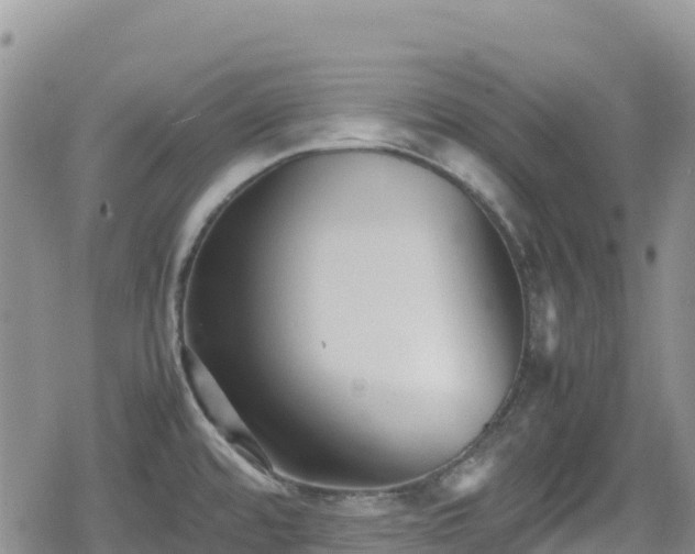 X0000080711480200612221130