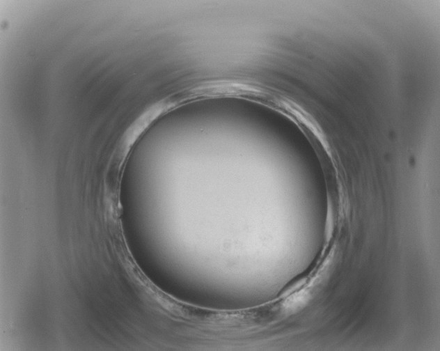 X0000080711481200612221130