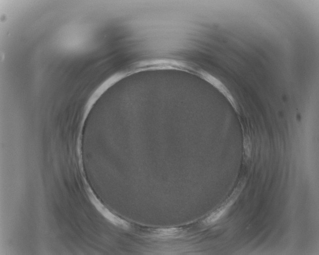 X0000080711482200612221130