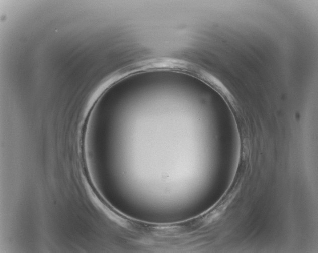 X0000080711483200612221130