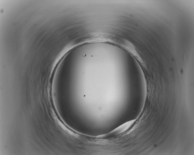 X0000080711484200612221130