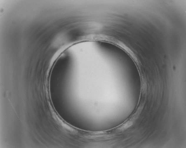 X0000080711486200612221130