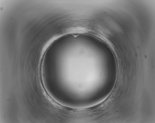 X0000080711488200612221130