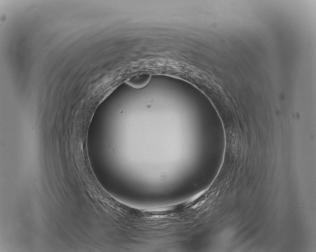 X0000080711489200612221129