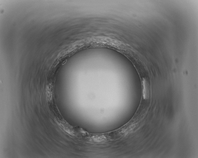 X0000080711491200612221129