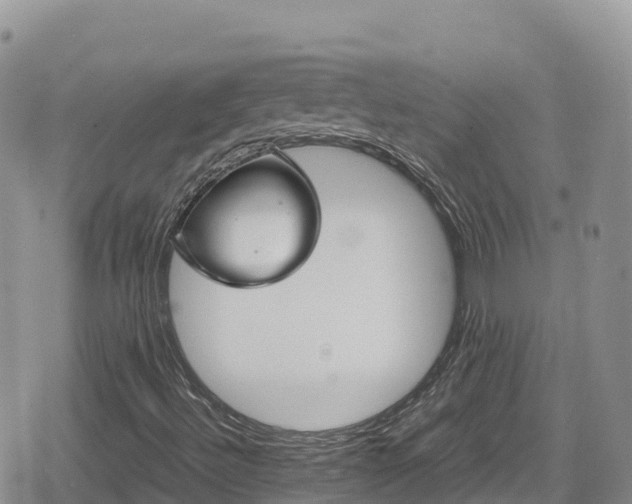 X0000080711492200612221129