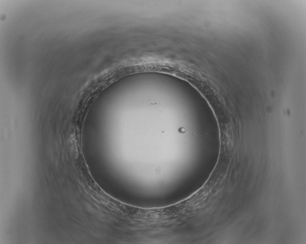 X0000080711493200612221129