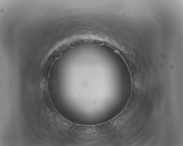 X0000080711495200612221129