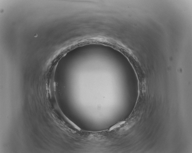 X0000080711496200612221129