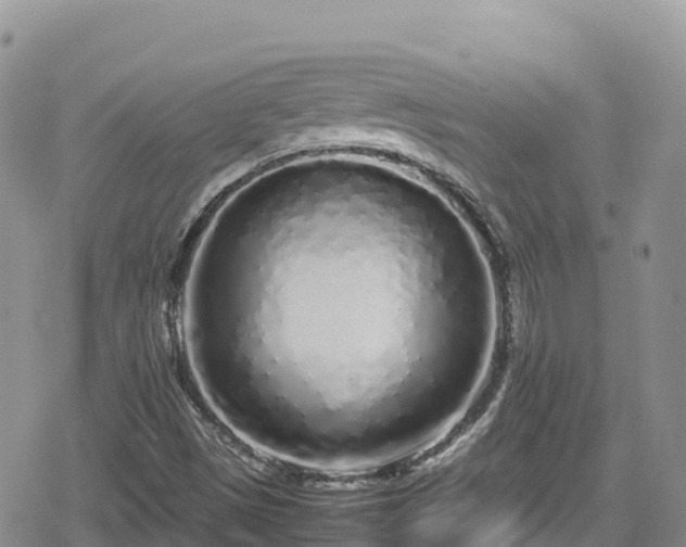 X0000080711497200612221129