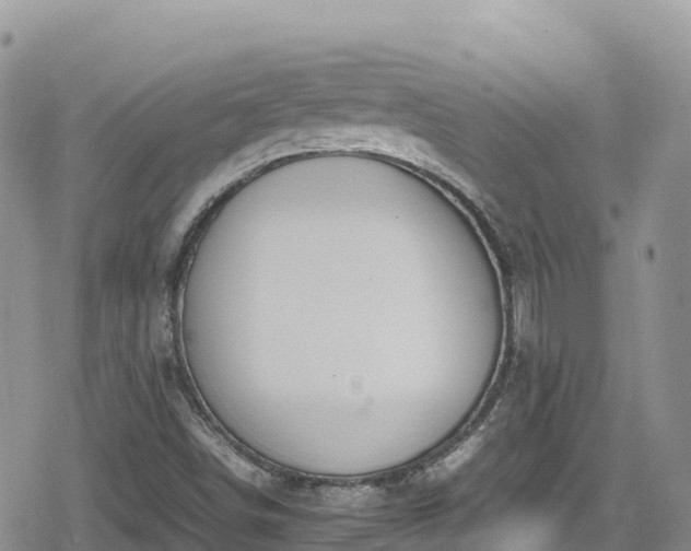 X0000080711498200612221129