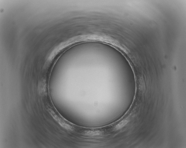 X0000080711499200612221129