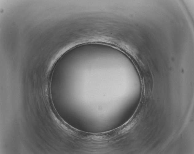 X0000080711500200612221130