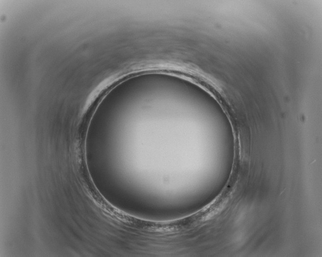 X0000080711501200612221130