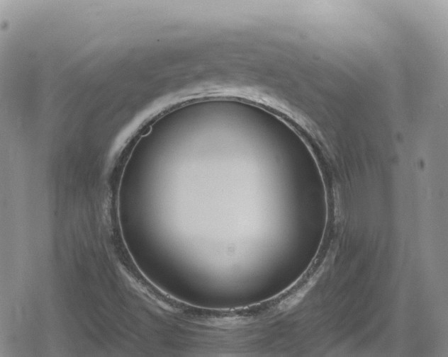 X0000080711502200612221130