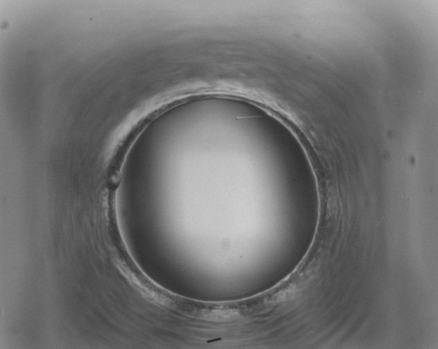 X0000080711503200612221130