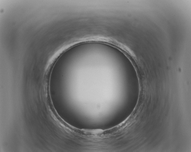 X0000080711504200612221130