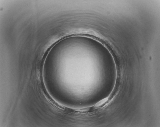 X0000080711505200612221130