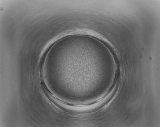 X0000080711506200612221130