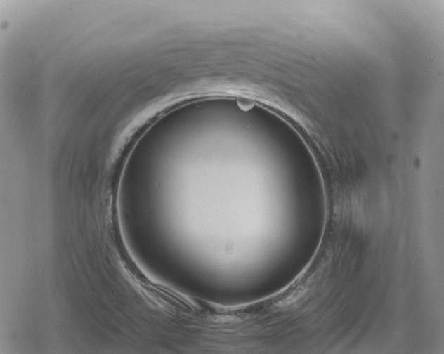 X0000080711507200612221130