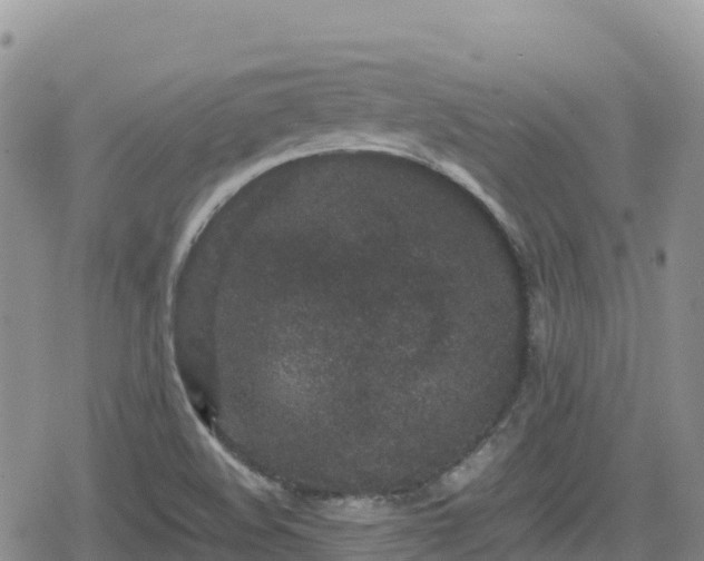 X0000080711508200612221130