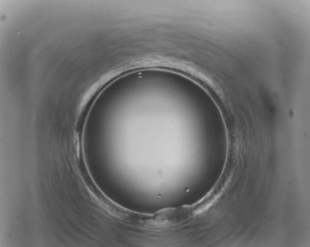 X0000080711509200612221130