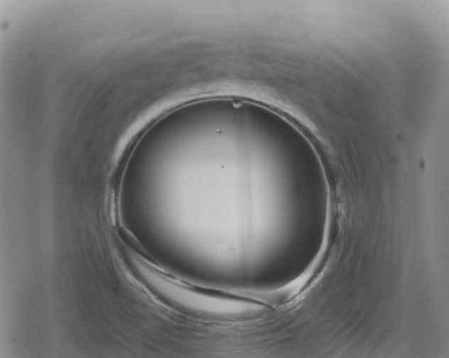 X0000080711510200612221130