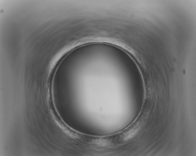 X0000080711511200612221130